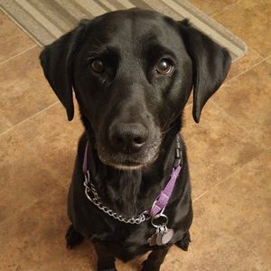 Meet your Posher, Becky